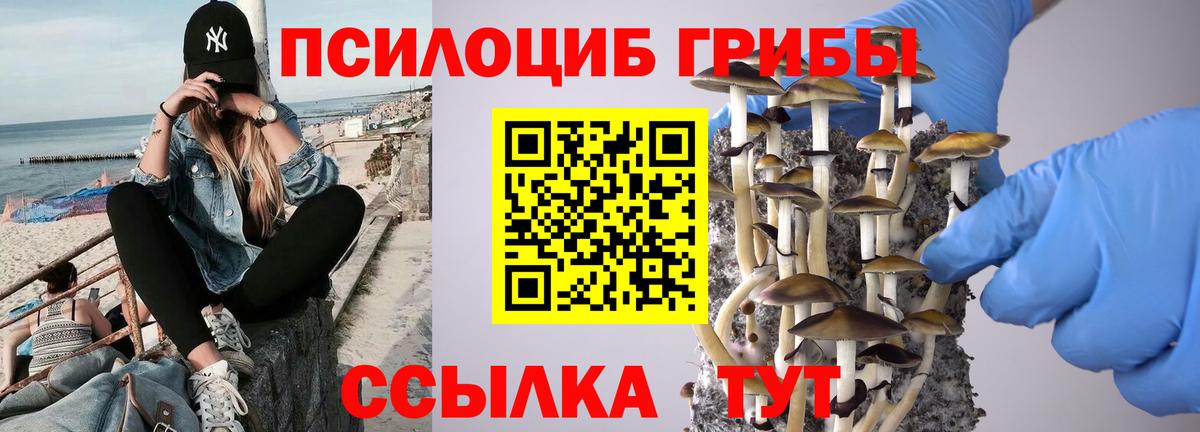 Новороссийск  Псилоцибиновые грибы мухоморы  Псилоцибиновые грибы мухоморы  Вход с VPN 